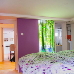 Kassel - Bild 4