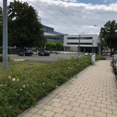 Apartment Ludwig - Bild 13