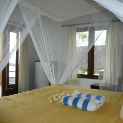 Paradise Palm Beach Bungalows - Bild 4