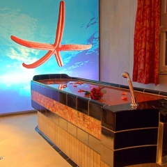 Vogel Hotel Appartement & Spa - Bild 17