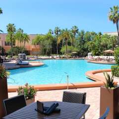 Rosen Centre Hotel in Orlando, United States of America from 233$, photos, reviews - zenhotels.com pool