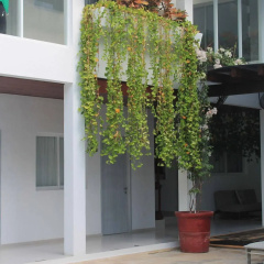 The St. Martin Boutique Hotel thumbnail 8