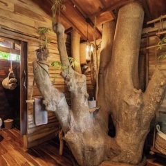 Roots Tree House - Bild 9