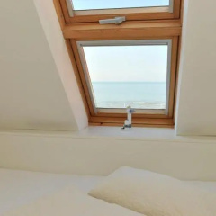 Seeblume - Bild 6