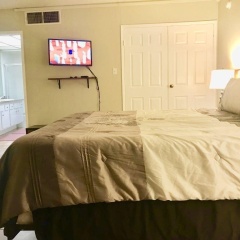 888 Convention Center 1 Bedroom Condos - Bild 3