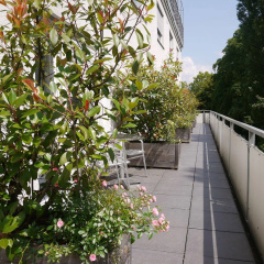 Viavelo Hotel - Bild 13