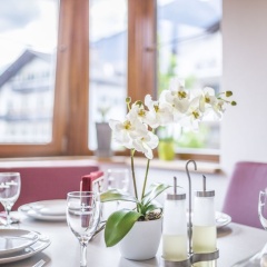 Alpis Ferienwohnung - Bild 15