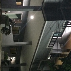 Am House - Bild 20