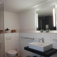 Lizzi Mountain Apartments - Bild 4