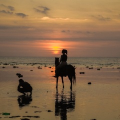 Taj Maza Sunset Villas - Bild 20