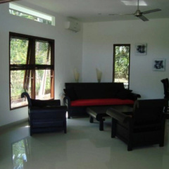 Dream Estate - Bild 4