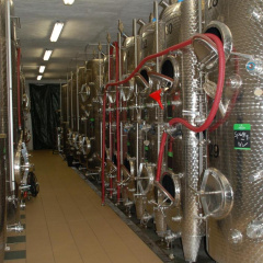 Naumburger Wein  Sekt Manufaktur - Bild 3