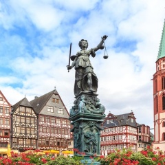 Main - Bild 12