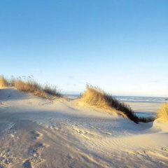 Strandhuus Modern Retreat - Bild 8