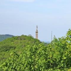 Zur schönen Aussicht - Bild 11
