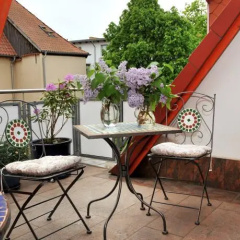 Ferienapartment Am Kütertor - Bild 11
