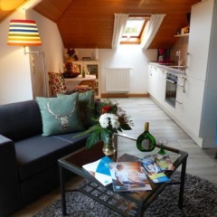 Haus Buena Vista - Bild 11