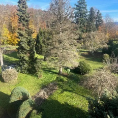 Hotel Wolfsschlucht - Bild 19