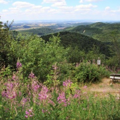 Ferienwohnungen Stricker Harz - Bild 2
