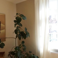 Bed  Breakfast SahaRa - Bild 12