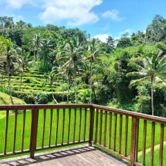 Tirta sari - Bild 12
