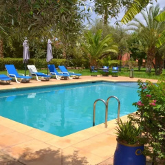 Riad Redwan - Bild 8