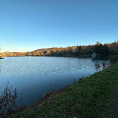 Bocksbergblick Appartement 507 im Ferienpark Hahnenklee Haus 1 - Bild 11