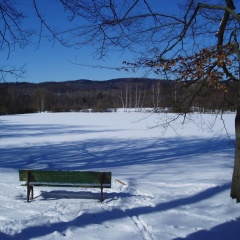 Ferienhotel Waldfrieden - Bild 3