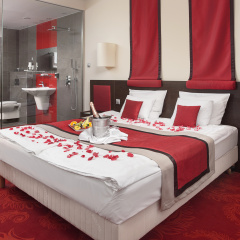 Rubin Wellness & Conference Hotel - Bild 7