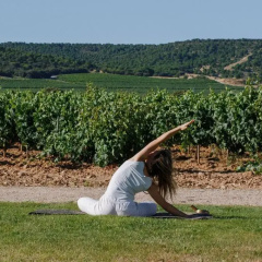 Abadia Retuerta Ledomaine thumbnail 27