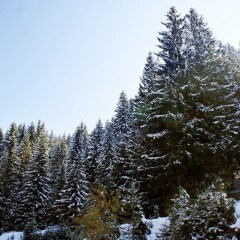 Apartment With 3 Bedrooms in Bansko, With Wonderful Mountain View, Poo in Bansko, Bulgaria from 97$, photos, reviews - zenhotels.com photo 2