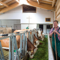 Ferienwohnungen Kilianmühle - Bild 15