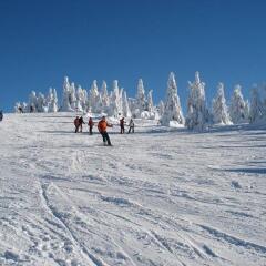 Astoria Lux - K16 Milmari in Kopaonik, Serbia from 115$, photos, reviews - zenhotels.com photo 41