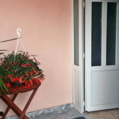 Guest House Sonja 289 thumbnail 6