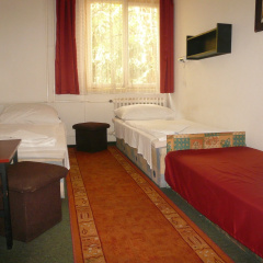 Dominik Panzio - Bild 3