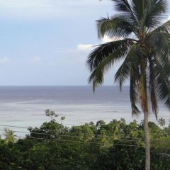 The Reef Palm in Mahe Island, Seychelles from 217$, photos, reviews - zenhotels.com photo 12