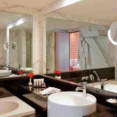 Lugal, A Luxury Collection Hotel Ankara - Bild 9