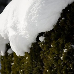 Yeti Lodge thumbnail 9