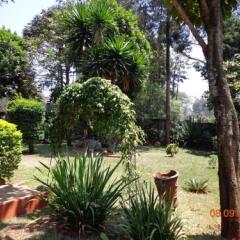 Ecents Turbo Road BnB in Nairobi, Kenya from 142$, photos, reviews - zenhotels.com photo 11