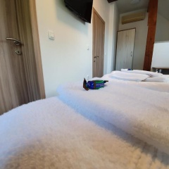 Rooms Korina photo 2