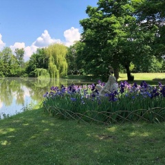 Apartmenthaus Schlosspark - Bild 3
