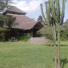 Cactus Eco Camp and Lodge in Nakuru, Kenya from 60$, photos, reviews - zenhotels.com photo 9