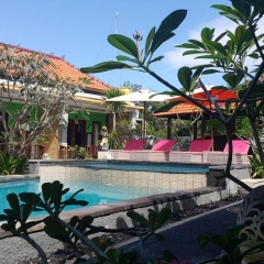 The Taran Villas Lembongan - Bild 14