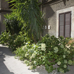 Hotel Giubileo - Bild 20