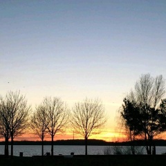 Nordstrand Idyll am Cossi - Bild 11