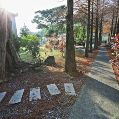 Hinoki House B&B thumbnail 15