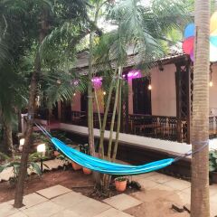 Отель Cohostel Индия, Северный Гоа - отзывы, цены и фото номеров - забронировать отель Cohostel онлайн фото 4