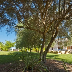 Finca Santa María - Bild 14