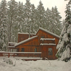 Wonderland Lodge thumbnail 5