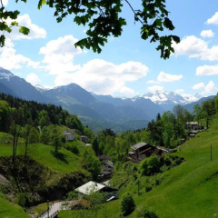 Hartlerlehen Rasp - Bild 7